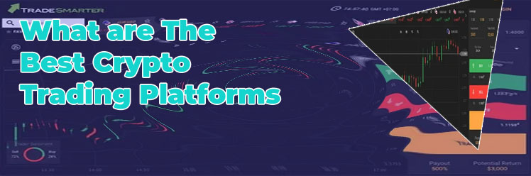 Best platform to trade bitcoins